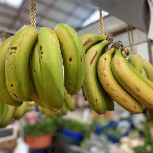 BANANA DA MADEIRA 500 GR