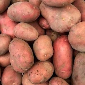 BATATA VERMELHA 1.500 KG