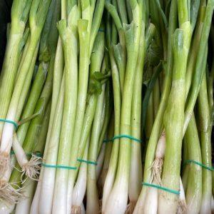 CEBOLETO MOLHO