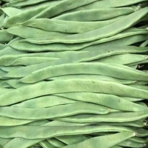 FEIJÃO VERDE LISO 500 GR