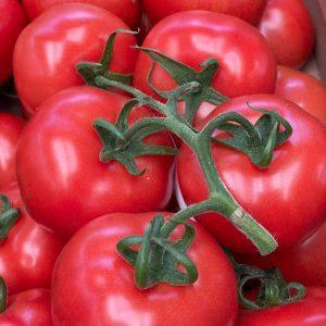 TOMATE RAMA 500 GR
