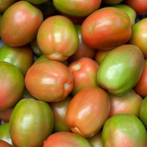 TOMATE CHUCHA 500 GR