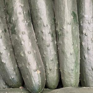 PEPINO 500 GR