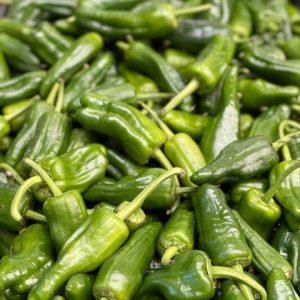 PIMENTO PADRON 500 GR