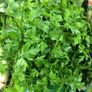 SALSA MOLHO