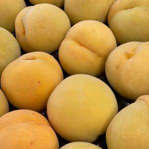 Pessego