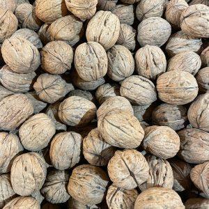 NOZES 500 GR