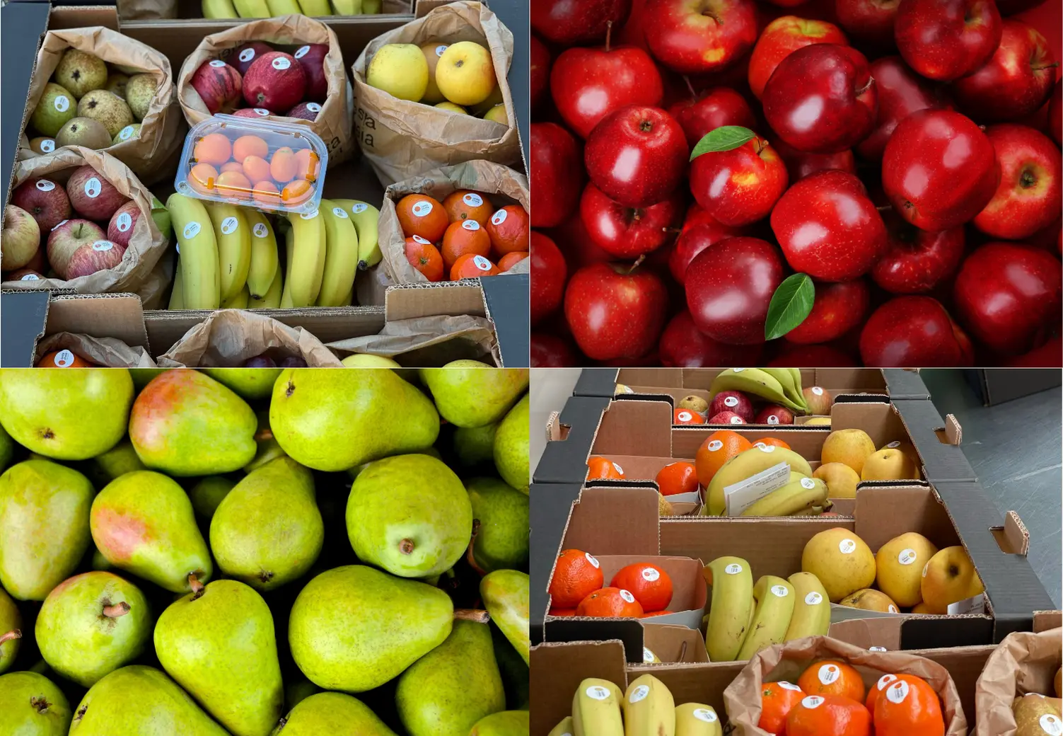 cestas de fruta_cesta cheia