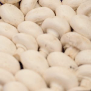 COGUMELO BRANCO 500 GR