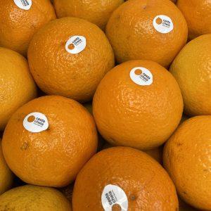 LARANJA MESA 500 GR