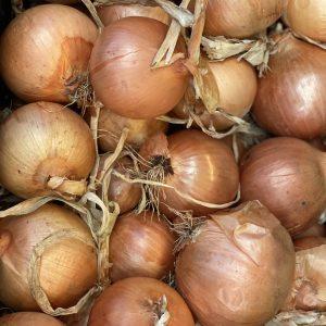CEBOLA NOVA 500 GR