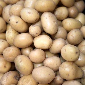 BATATA MIÚDA 1.500 KG