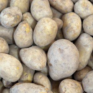 BATATA ÁGRIA 1.500 KG