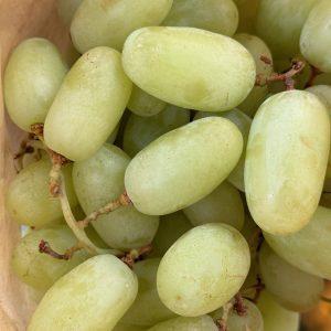 UVA BRANCA S/ GRAINHA 500 GR