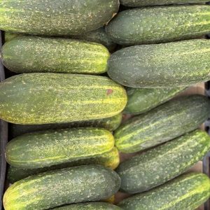 PEPINO CURTO 500 GR